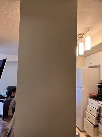 Interior Wall Paint